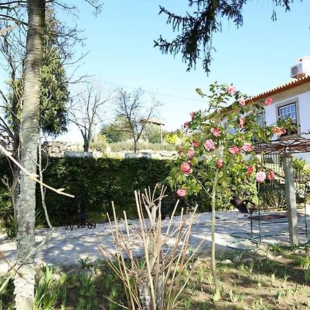 Quinta De Vila Verde- Paixao Ancestral, Turismo Rural Marco de Canavezes Kültér fotó