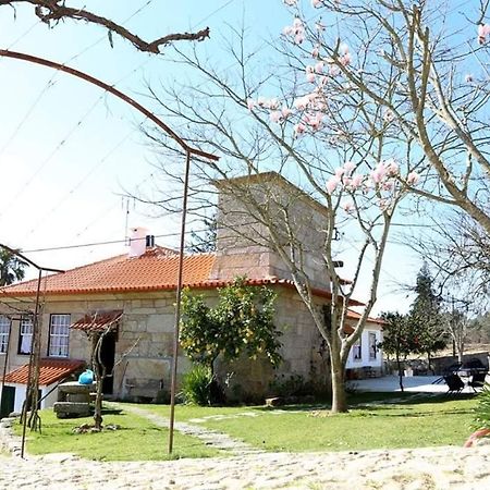 Quinta De Vila Verde- Paixao Ancestral, Turismo Rural Marco de Canavezes Kültér fotó