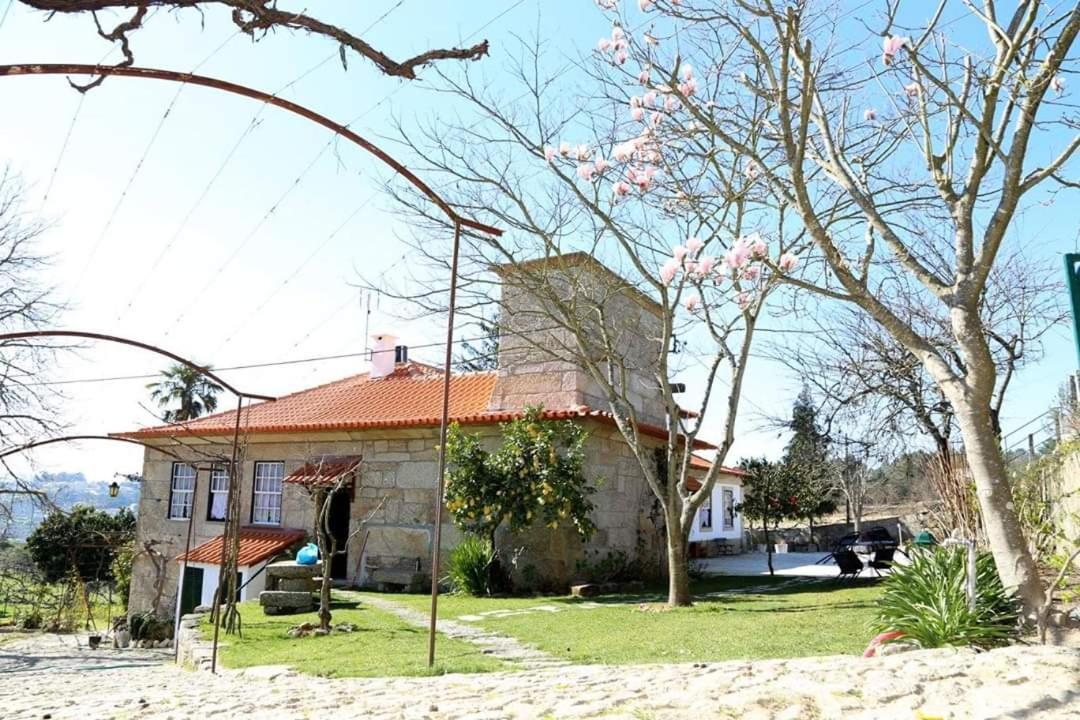 Quinta De Vila Verde- Paixao Ancestral, Turismo Rural Marco de Canavezes Kültér fotó